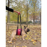 ABDOMINAL HANDY CANIS